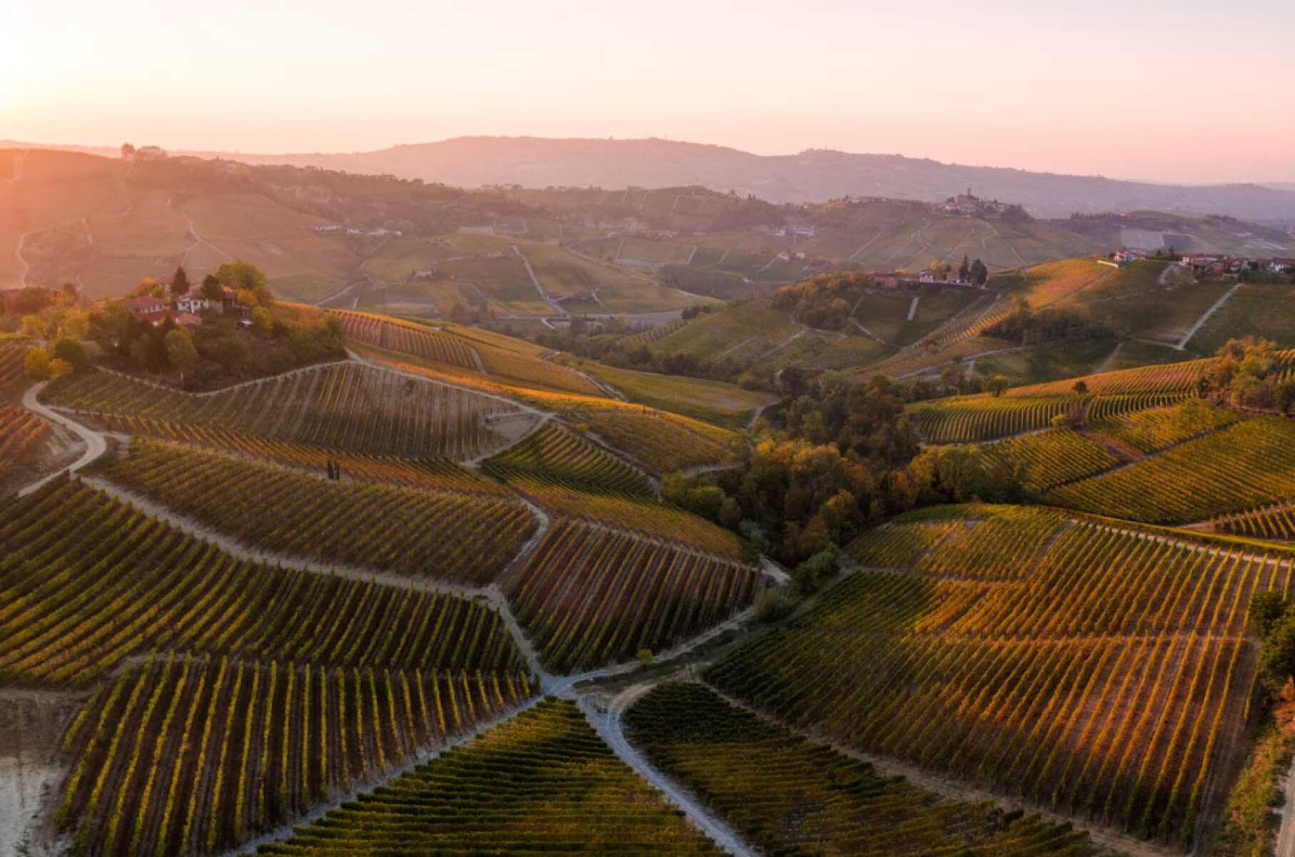 Αμπελώνες στο Barolo, Πιεμόντε, Ιταλία.