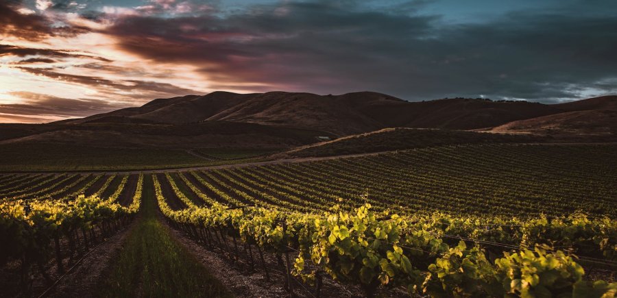 Τι εστί Terroir; Μια άγνωστη λέξη με τεράστια σημασία για το κόσμο του κρασιού.