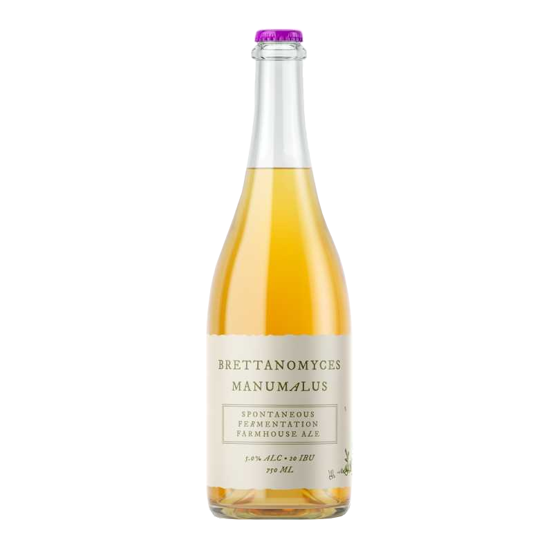 Brettanomyces Manumalus