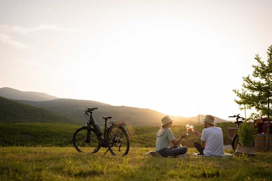 Wine tourism in the sunset