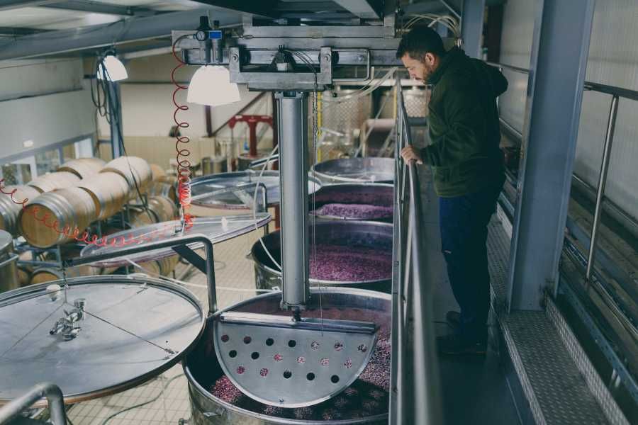 Red vinification