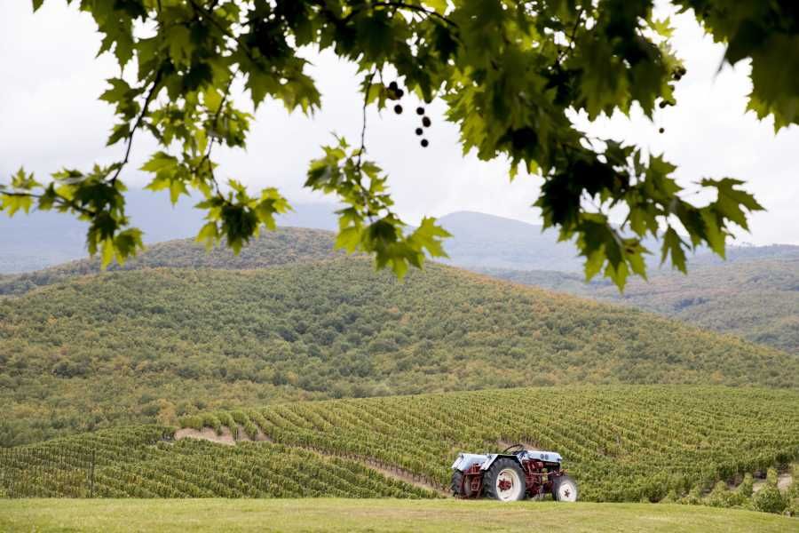 The blue tractor