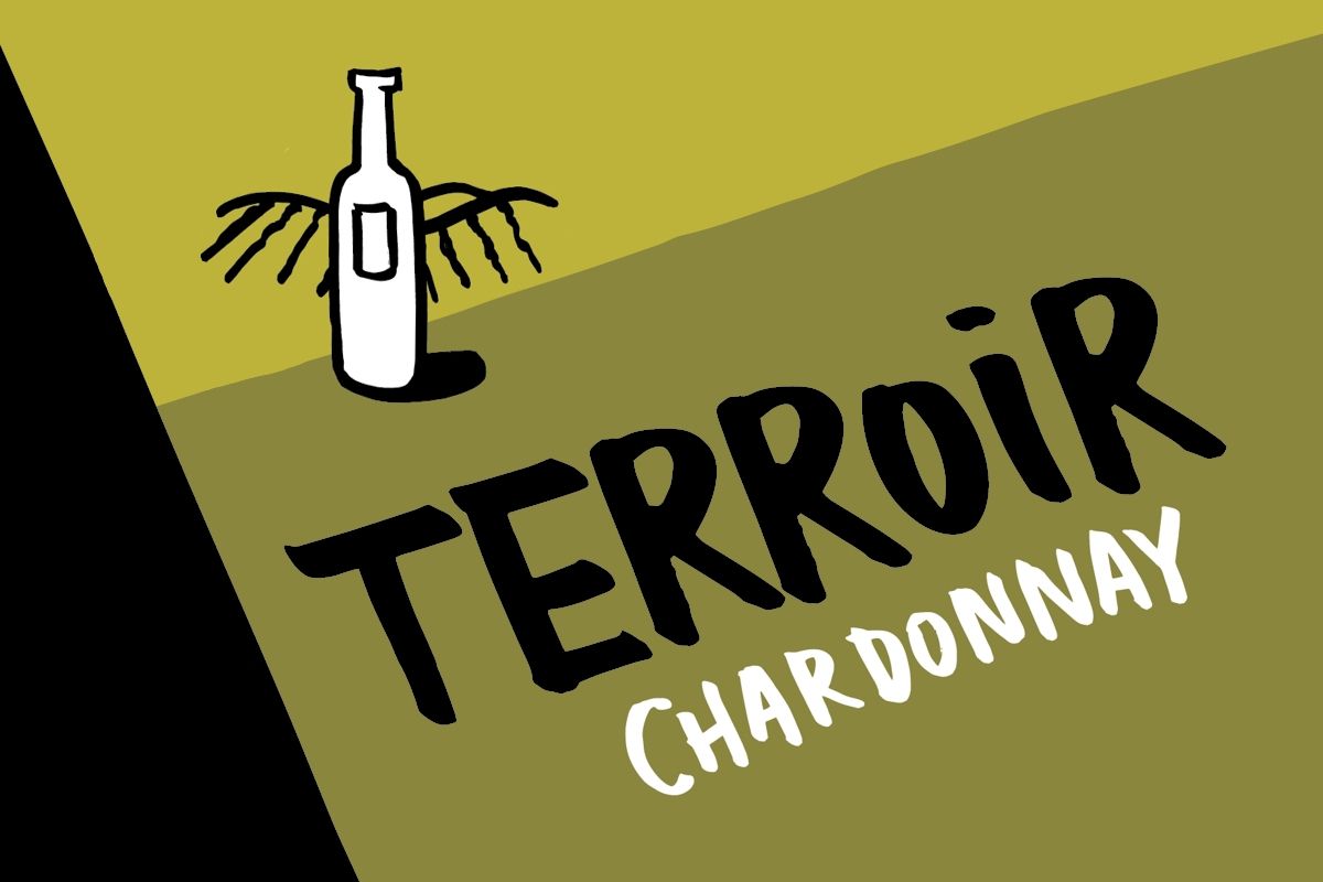 Συνάντηση Γευσιγνωσίας | Terroir: Chardonnay